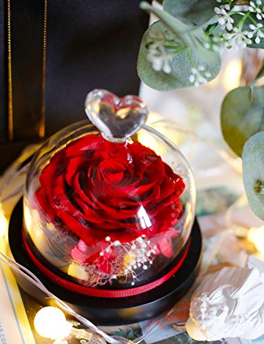 DuHouse Preserved Real Rose in Red - Enchanted Glass Dome, 4-5 Year Lifespan