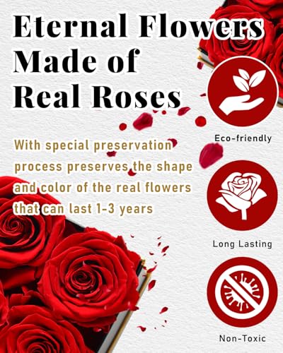 Preserved Real Roses in Gift Box, Long-Lasting Eternal Flowers for Her