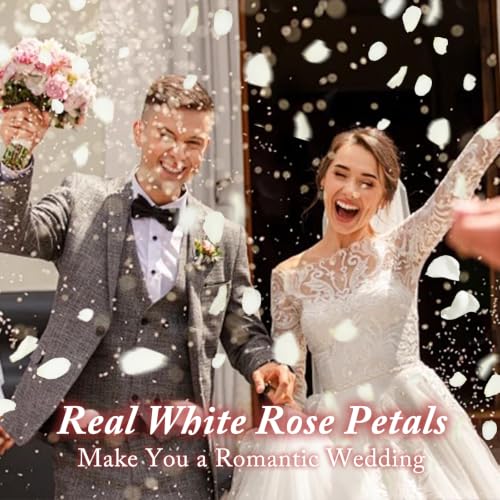 Real Freeze-Dried White Rose Petals for Wedding Decor and Toss - 180+ PCS