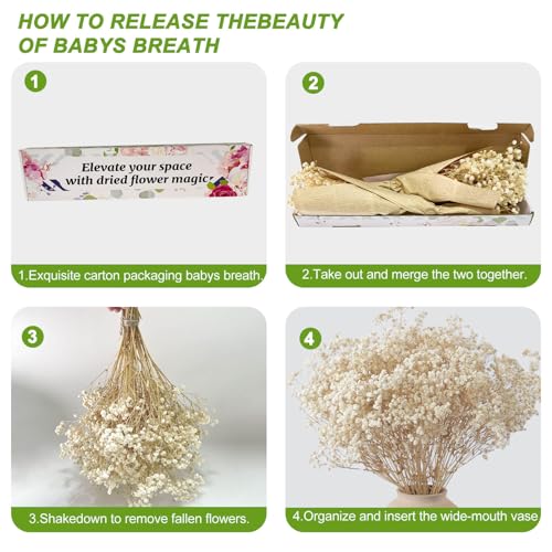 Dried Baby's Breath Flowers - 17-Inch Natural Ivory Gypsophila Bouquet