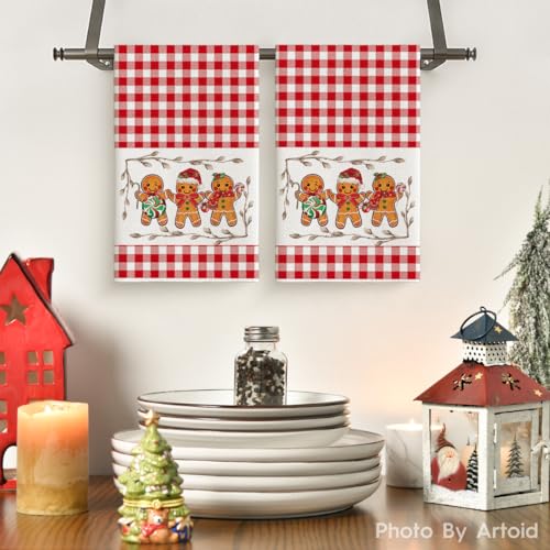 Artoid Mode Red Candy Christmas Kitchen Towels Set of 2 18x26 Inches