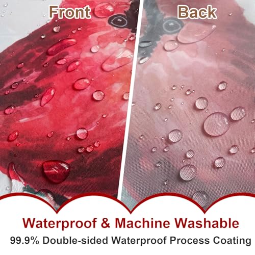 Baccessor Merry Christmas Shower Curtain 72x72 In - Winter Poinsettia & Cardinals Design, Waterproof Polyester