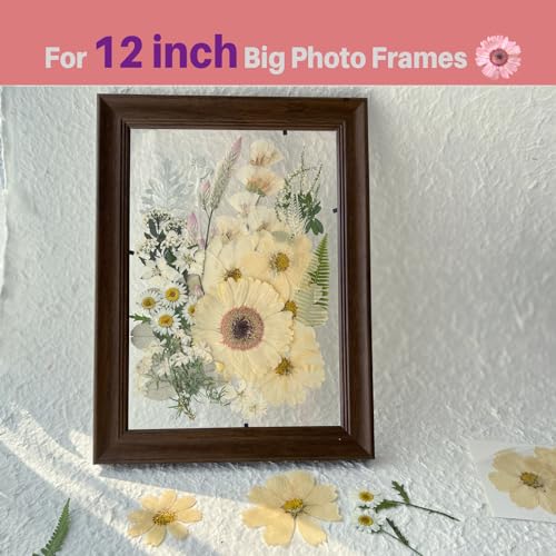 Natural Pressed Dried Flowers for Resin Art, Jewelry Making, and Crafts