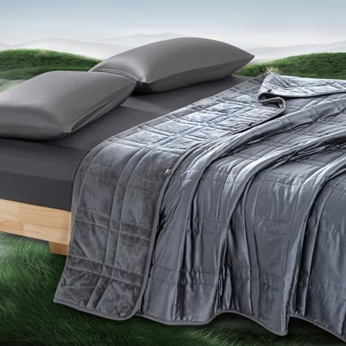 King Size Weighted Blanket 20lbs, Reversible Cooling Tencel & Warm Plush
