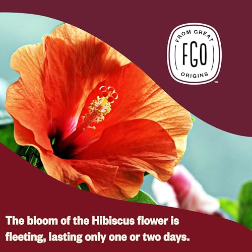 FGO Organic Hibiscus Tea Bags 100 Count Caffeine Free Herbal Tea