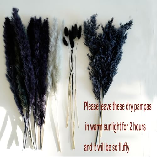 17-Inch Natural Dried Pampas Grass Bouquet - Black & Grey Boho Floral Decor