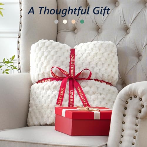 Weighted Blanket for Adults, 60x80 Inches, 15lbs - Soft Warm Sherpa Fleece
