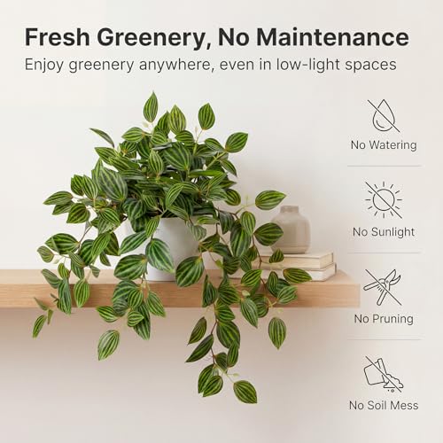 17.7" Artificial Watermelon Peperomia Trailing Plant in White Pot