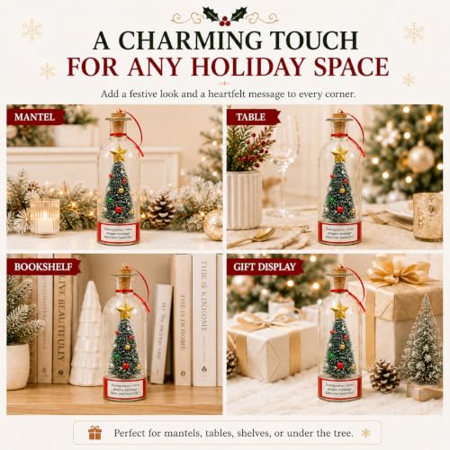 CRILEAL Blue Recordable Christmas Tree Ornament with Snow Scene, 25-Second Voice Message