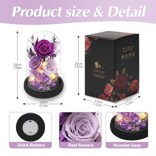 Preserved Purple Rose in Glass Dome with LED Lights, Romantic Gift for Her
