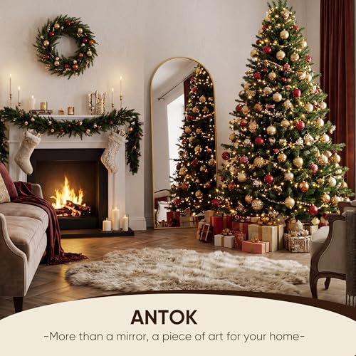Arched Full Length Floor Mirror (58" x 19") - Gold Aluminum Frame