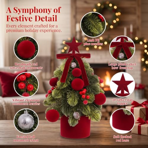 Mini Christmas Tree for Indoor Decor - Tabletop Holiday Decor with Ornaments