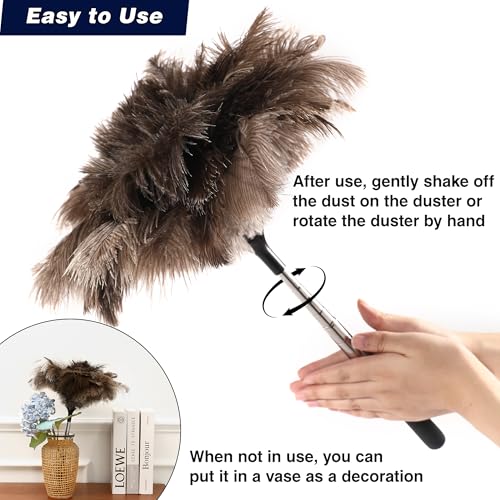 Extendable Ostrich Feather Duster with 40-Inch Stainless Steel Pole