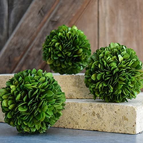 6-Inch Preserved Boxwood Decorative Ball for Indoor Home Decor