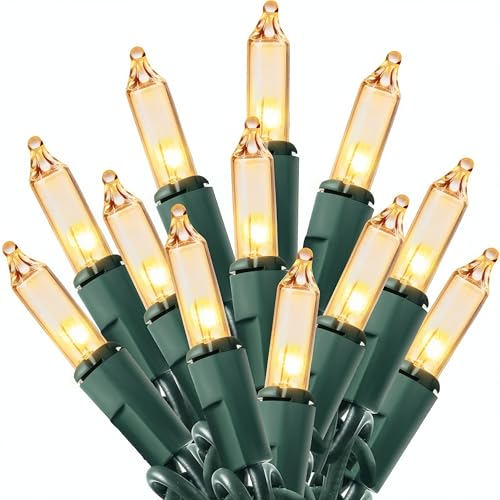 100 Count Clear Mini Christmas String Lights, 19.4 ft Green Wire Fairy Lights