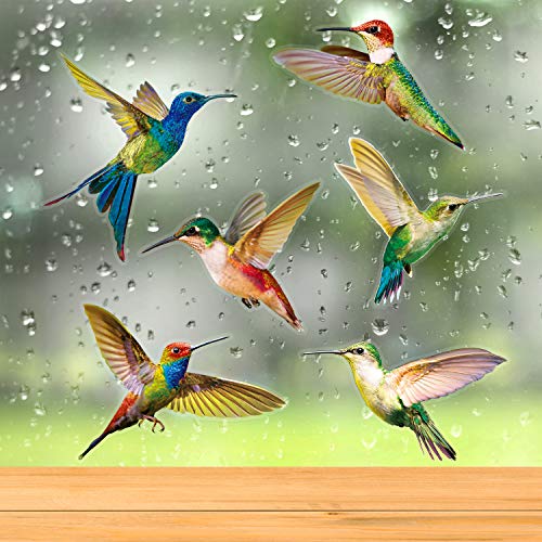 Hummingbird Window Decals - 6 Pack Colorful Anti-Collision Stickers