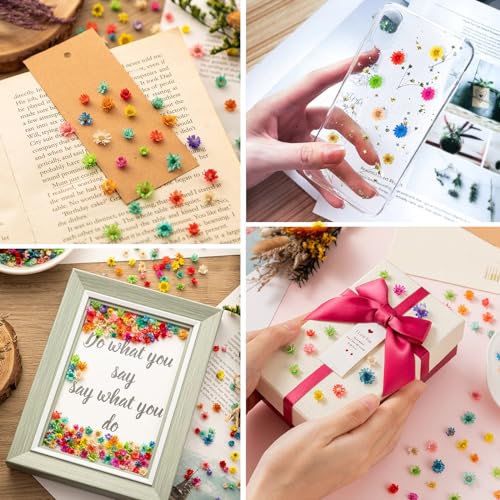 300 PCS Mini Dried Flowers for Resin Jewelry, Soap, and Candle Making