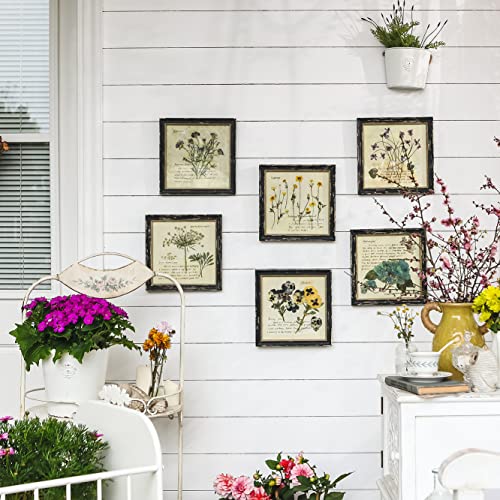 NIKKY HOME Vintage Botanical Wall Art Set of 4 - 10x10 Inch Floral Prints for Living Room Bedroom Bathroom
