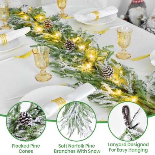 YoleShy 9 ft Flocked Norfolk Pine Garland with Lights
