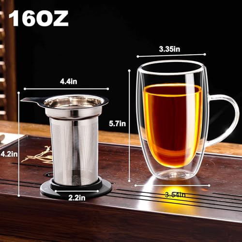 Baalaka 16 fl oz Double-Wall Glass Tea Mug with Infuser & Lid
