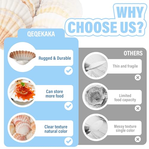 Natural Large Scallop Shells for Crafts & Decor - 10 Pack, 4-4.5 Inch