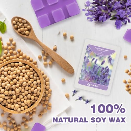Scentorini Lavender Wax Melts, 4 x 1.25oz - Soy Wax Cubes for Sleep (Light Purple Variant)