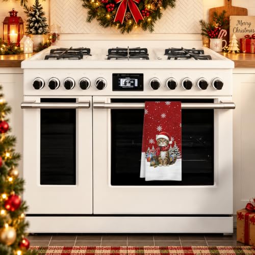 Christmas M Variant Red Cat Kitchen Dish Towels 16x24 Inches - Holiday Decor