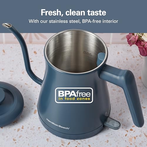 Compact 20 oz. Electric Gooseneck Kettle - Fast-Boil Stainless Steel Blue