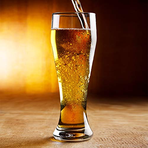 Nucleated Pilsner Beer Glasses - 16 oz Craft Beer Glass Set, 4 Pack