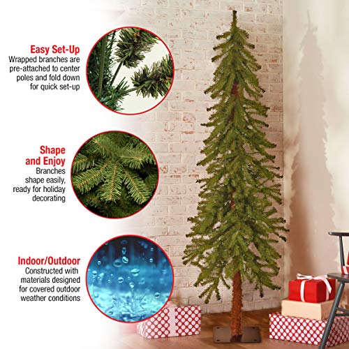 5ft Unlit Hickory Cedar Artificial Christmas Tree with Metal Base (371 Tips)