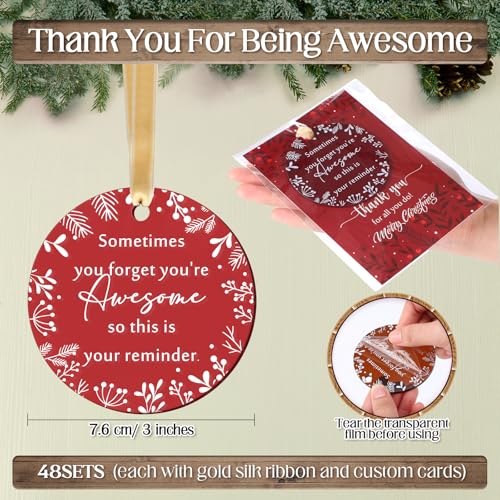 Barydat 48 Christmas Thank You Ornaments Bulk - Blue, Green, Khaki, Red with Cards & Ribbons