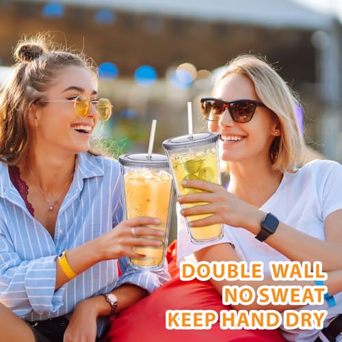 32 oz Double Wall Insulated Tumbler with Lid and Straw, 2 Pack Clear Cup