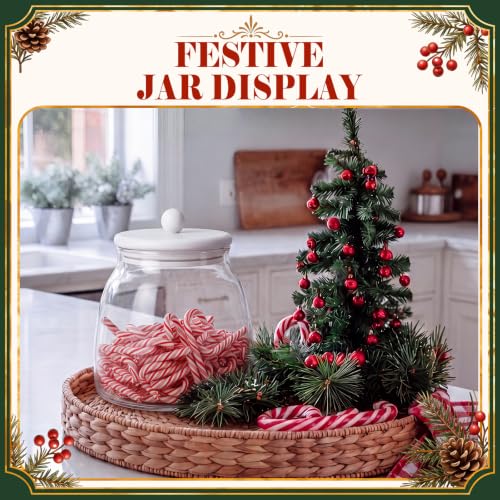 Qinyoung 50 Pcs Candy Cane Christmas Set Glass Jar & Mini Resin Decorations