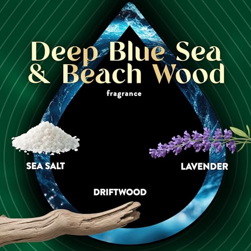 Plug-In Scented Oil Air Freshener Refills - Deep Blue Sea & Beach Wood, 4 Pack