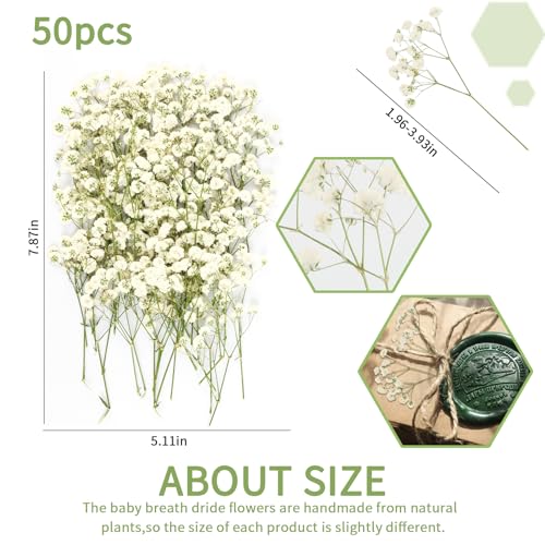 50pcs Mini Dried Pressed White Baby's Breath Flowers for Resin Crafts