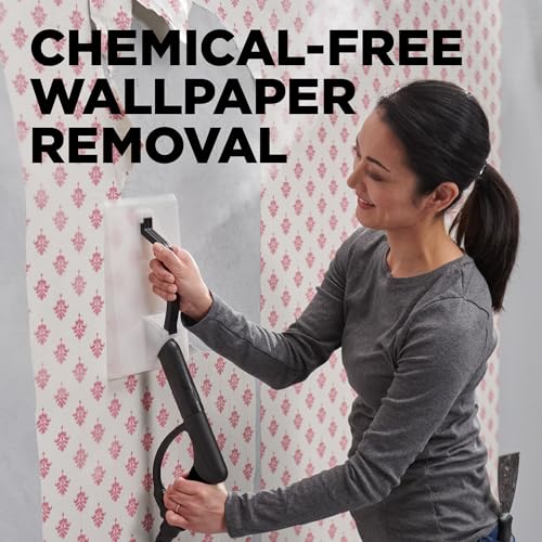 Multipurpose Steam Cleaner with 18 Accessories for Home and Wallpaper