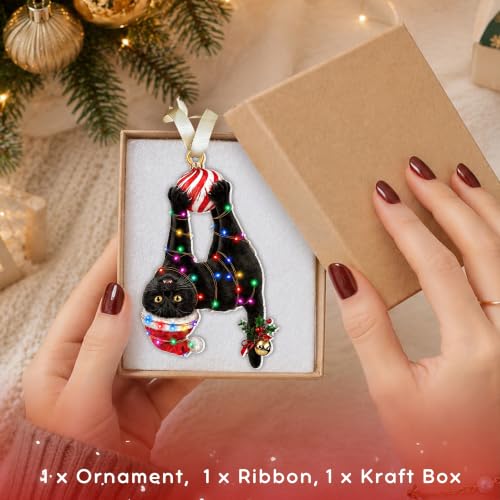 Pawzity Cat Black Christmas Ornament - One-Sided Acrylic Ornament with Beige Ribbon, Gift Box (Cat Black)