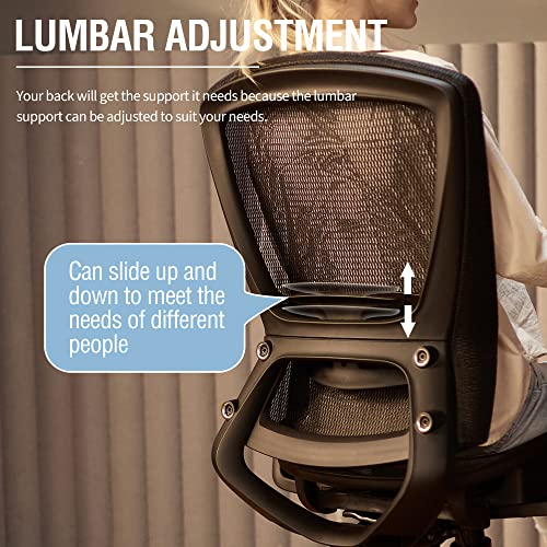 Ergonomic Mesh Office Chair with Adjustable Lumbar Support and 3D Armrests