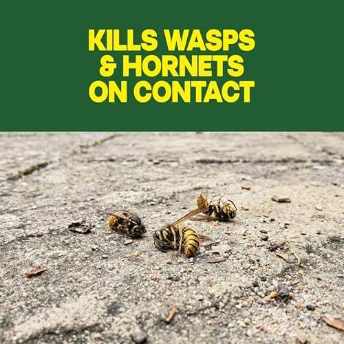 Raid Wasp & Hornet Killer Spray, Bug Kills the Entire Nest, 14 Oz, 2