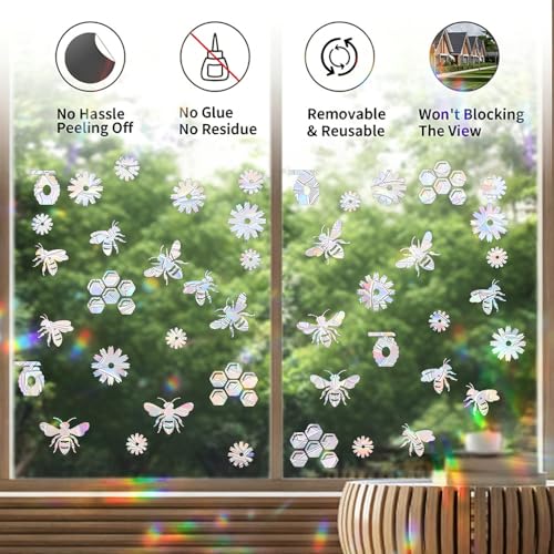 Window Decals to Prevent Bird Strikes - Hummingbird Clings