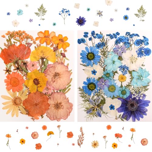 182 PCS Real Pressed Dried Flowers and Leaves Set with Tweezers for DIY Crafts