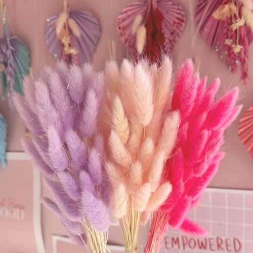 120pc Dried Bunny Tail Grass - 17-Inch Light Purple Boho Floral Decor