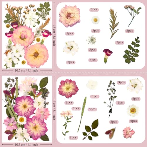 92 Pcs Natural Pressed Dried Flowers for Resin Art, Soap, and Jewelry