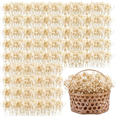 50 Pcs Dried Baby's Breath Flowers, Ivory White Gypsophila for Wedding Decor