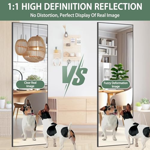 Full Length Over-the-Door Mirror - 51 x 16 Inch Shatterproof Wall Mirror