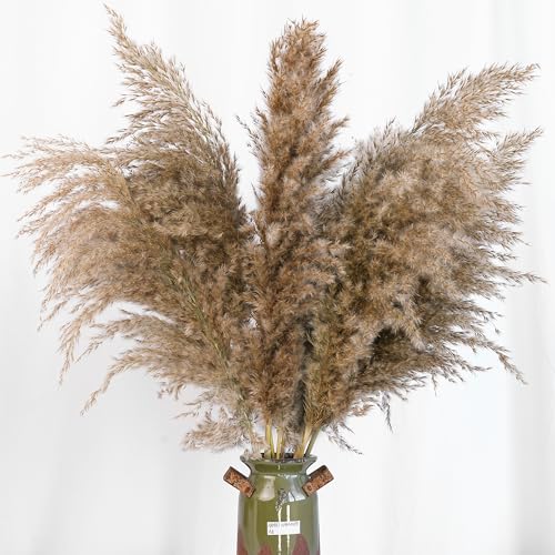 Natural Dried Pampas Grass Decor (60 Pcs, 17 Inch) - Fluffy Boho Room Decor