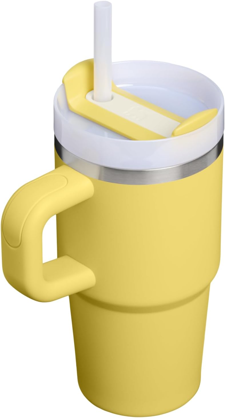 STANLEY Quencher H2.0 Tumbler - 20 oz Insulated Stainless Steel Cup with Handle & Straw | Daffodil Color