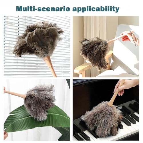 Natural Ostrich Feather Duster with Wooden Handle, 16" Soft Cleaning Brush