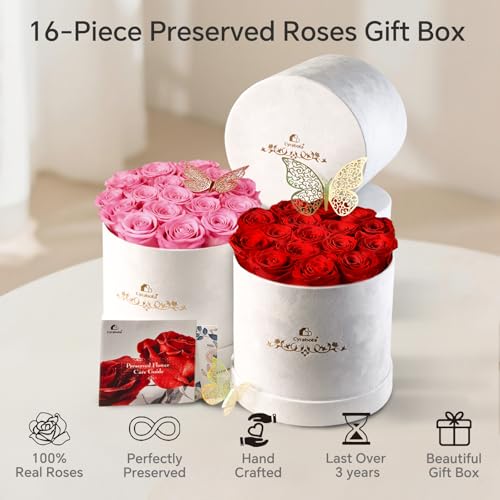 16 Preserved Forever Roses in Luxury Suede Gift Box - Sweet Pink