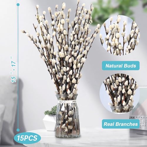 15 Stems Preserved Pussy Willow Branches, 17-Inch Natural Dried Flowers